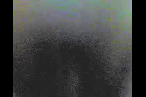 pussy of bhabhi gone wet