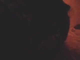 Tamil Wife Leaked desidownload 08