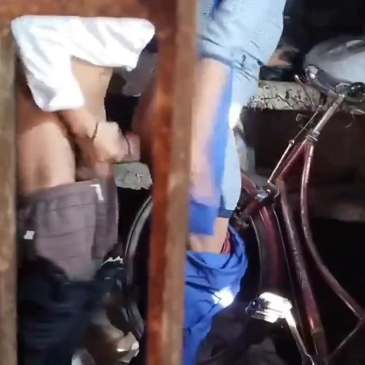 college girl outdoor fucking with boyfriend