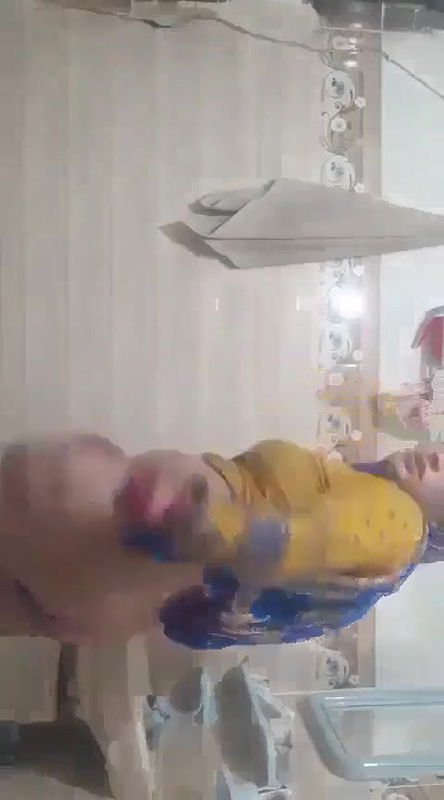 Messenger creation 439151125884012