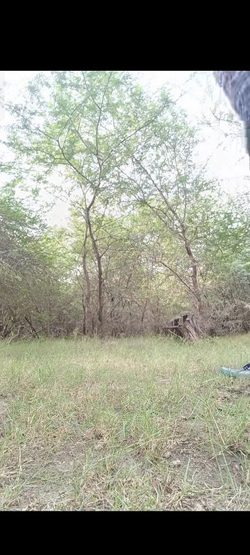 Record 2025 09 11 21 55 10 3a6dc022b7918d9e23043f69282925c0