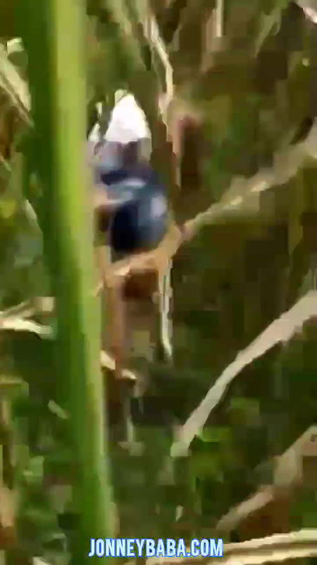 Hidden lust new desi outdoor fucking