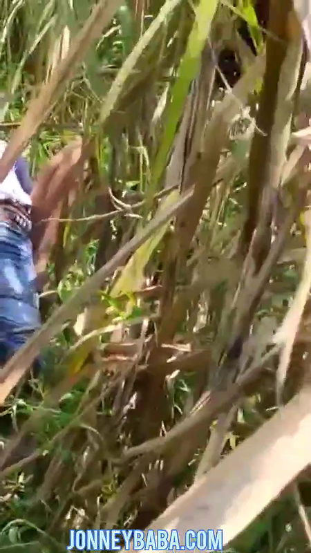 Hidden lust new desi outdoor fucking