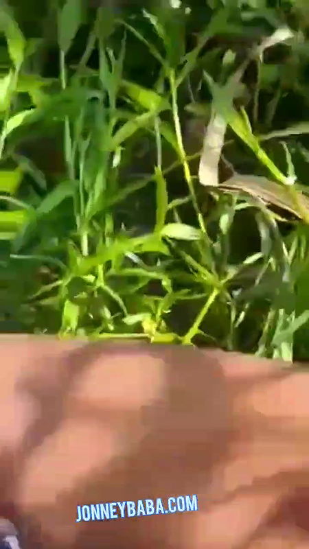 Hidden lust new desi outdoor fucking