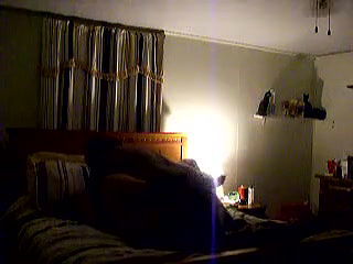 my insurance agent got a wet pussy