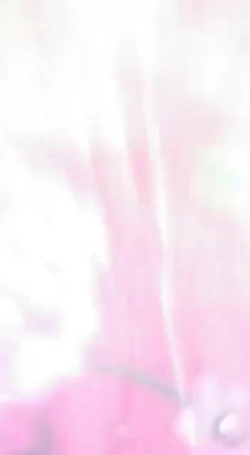 A young guys first Bangla chuda chudi sex MMS