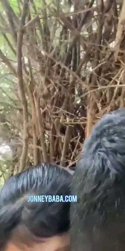 Park kissing desi couple