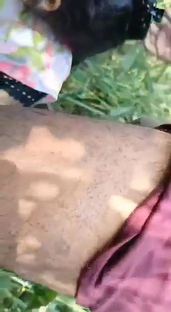 bhabhi ko khet me lejakar pela