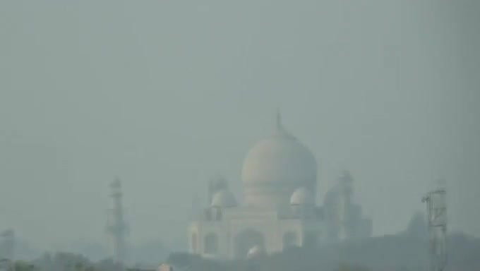 Im in love with the girl sucking dick and she is a skilled cocksucker