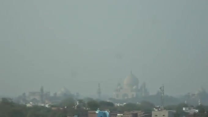 Im in love with the girl sucking dick and she is a skilled cocksucker