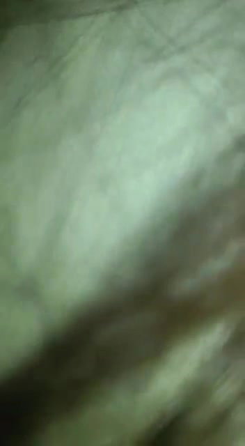 gf ko Oyo me bulakar pela