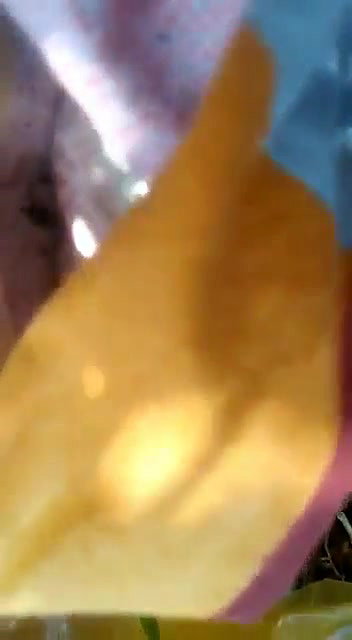 ghar ke piche Wale jangal me girlfriend ko chodne ka maja hi kuch aur hai