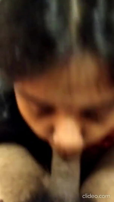 RemorsefulPiercingEuropeanfiresalamander