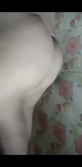 Bengali girl stripping dresses and big boobs show