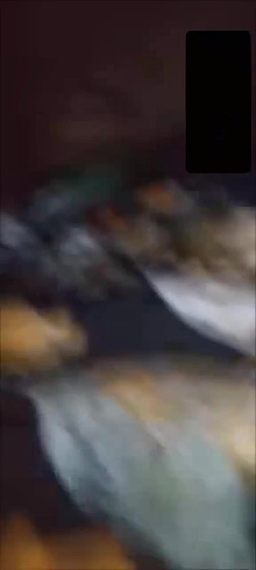 married village boudi in video call viral nude show