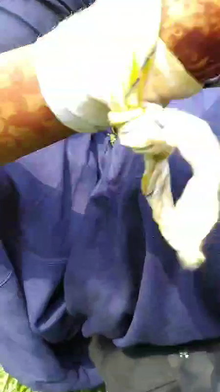 girlfriend ko jangal me plea