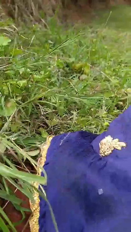 girlfriend ko jangal me plea