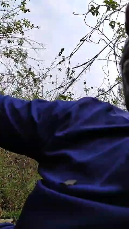 girlfriend ko jangal me plea