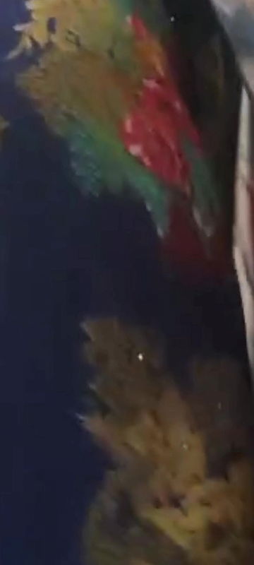 1 Screenrecorder 2025 10 04 01 31 35 860