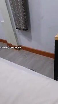 tattooed girl blowjob with sexy boobs and ass showing