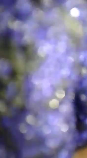 thand me rajai odh ke khale khale hi pela