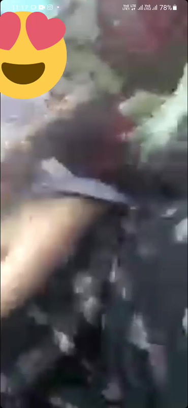 VID 20250816 173625 762