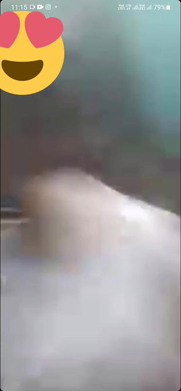 VID 20250816 173625 762