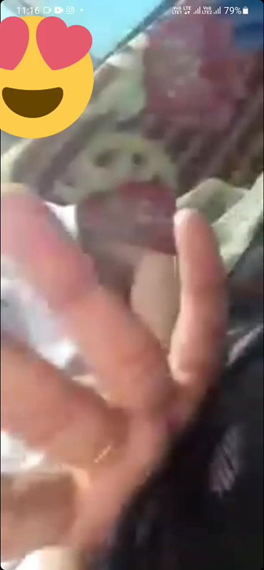 VID 20250816 173625 762