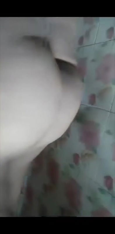 MP4 20251016 200104VLOG