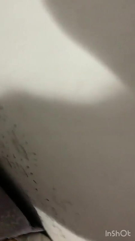 sucking dick fully by horny GF in Srilankan sex