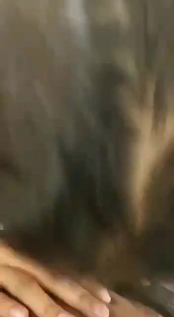 Paid girl giving blowjob