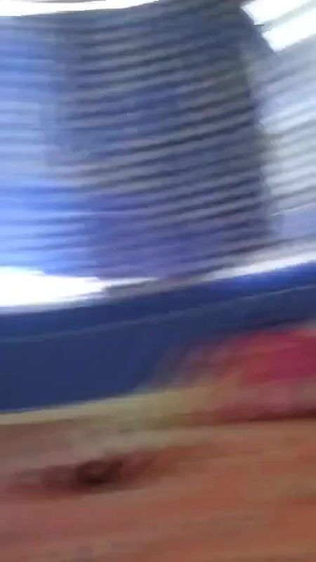 VID 20250815 WA0009 MERGE