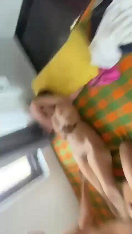 beautiful girlfriend pussy fingering viral