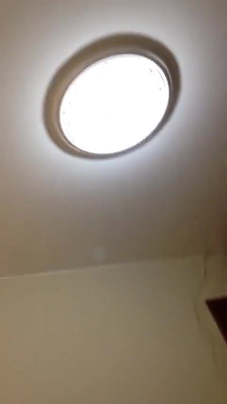 sex video of cute viral GF sucking dick