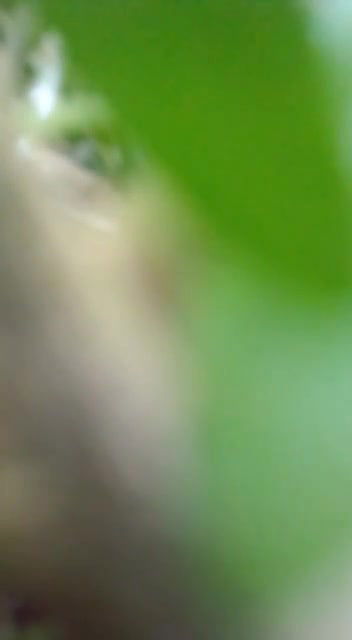 big boobs neighbor aunty viral outdoor fucking