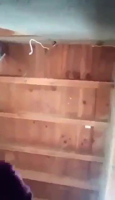 incest bhabhi sex riding dick viral romance