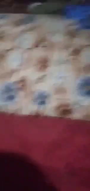 Pastho sex wife xxx sex with lover video scandal