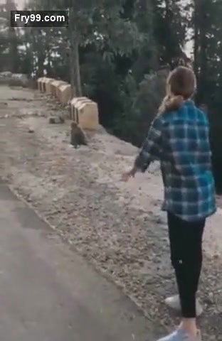 Sexy tiktok star fucking outdoor