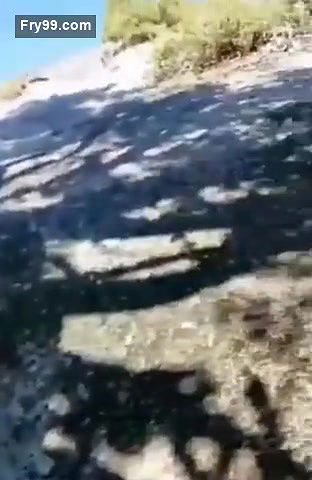 Sexy tiktok star fucking outdoor