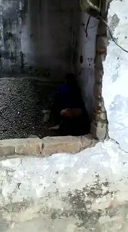 crazy couple outdoor caught