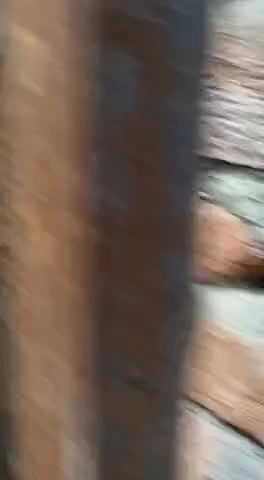 crazy couple outdoor caught