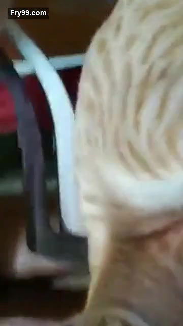 Tamil sexy actor swathi