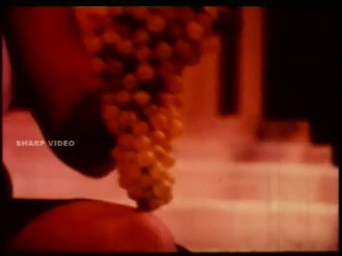 Chanchale Mallu Movie