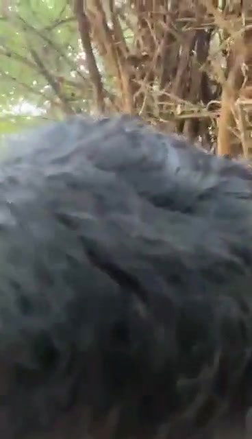 video 2024 09 26 09 53 11