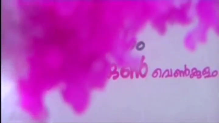 Sundarikutty (2003) Mallu B Grade Movie