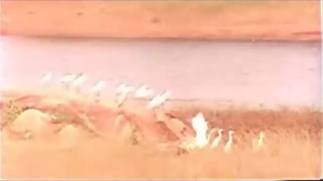 Swapnam Mallu B Grade Movie