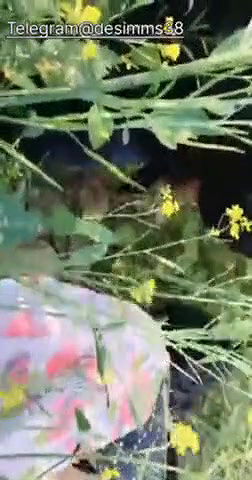 Bhabhi ki sarso k khet me chudai