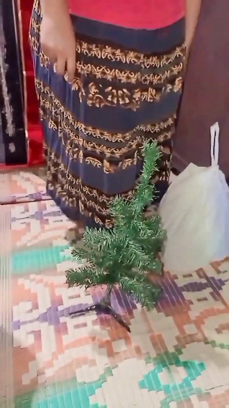 Desi girl Special X-Mas Blast vlog #advanced #happychristmas