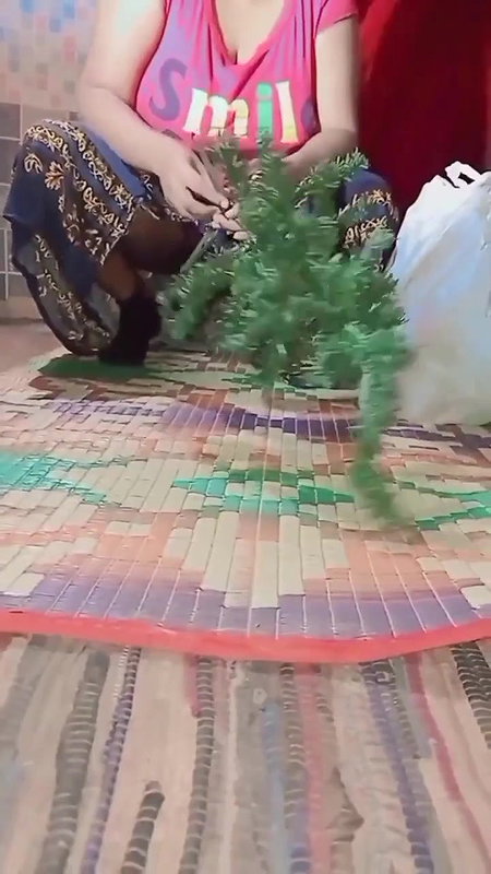 Desi girl Special X-Mas Blast vlog #advanced #happychristmas