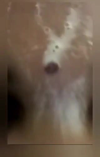 VID 20251115 014346 115